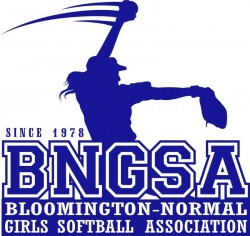 bngsa-logo_1578236657.jpg