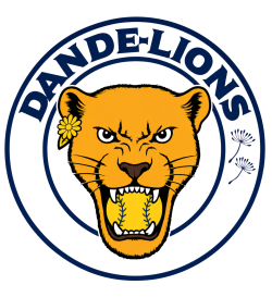 Team Logo