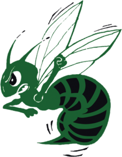 hornet-pic_1766161348.png