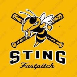 sting-logo_1687198393.jpg