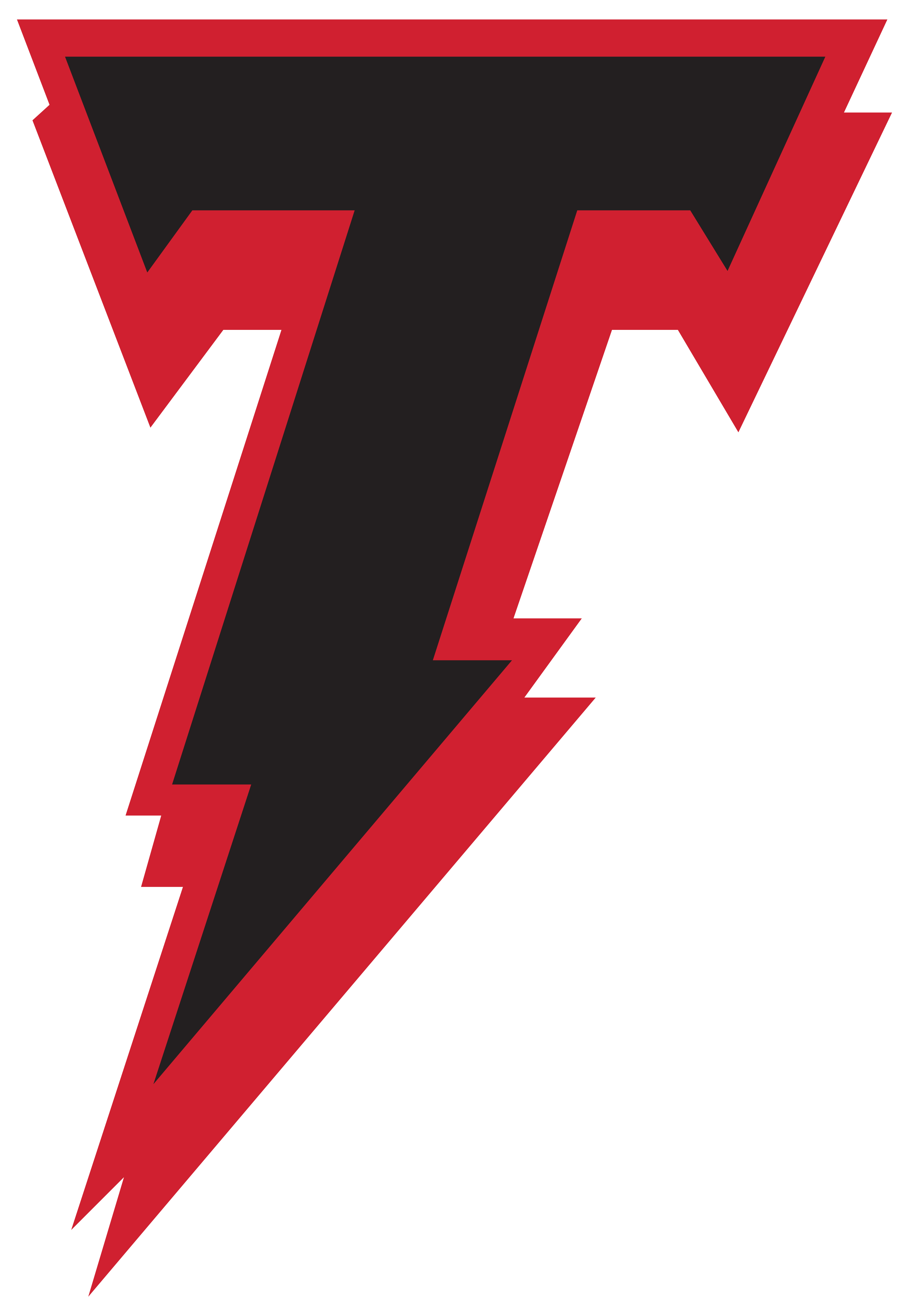 Tournament Organizations Logo