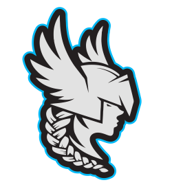 valkyries-head-logo---png_1700575486.png